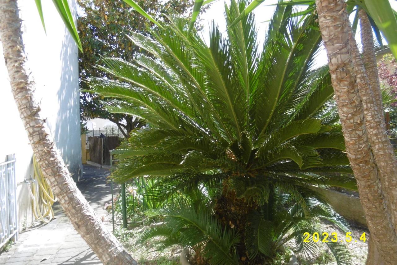 rez de chaussée studio climatisé dans villa Aigues-Mortes Extérieur photo
