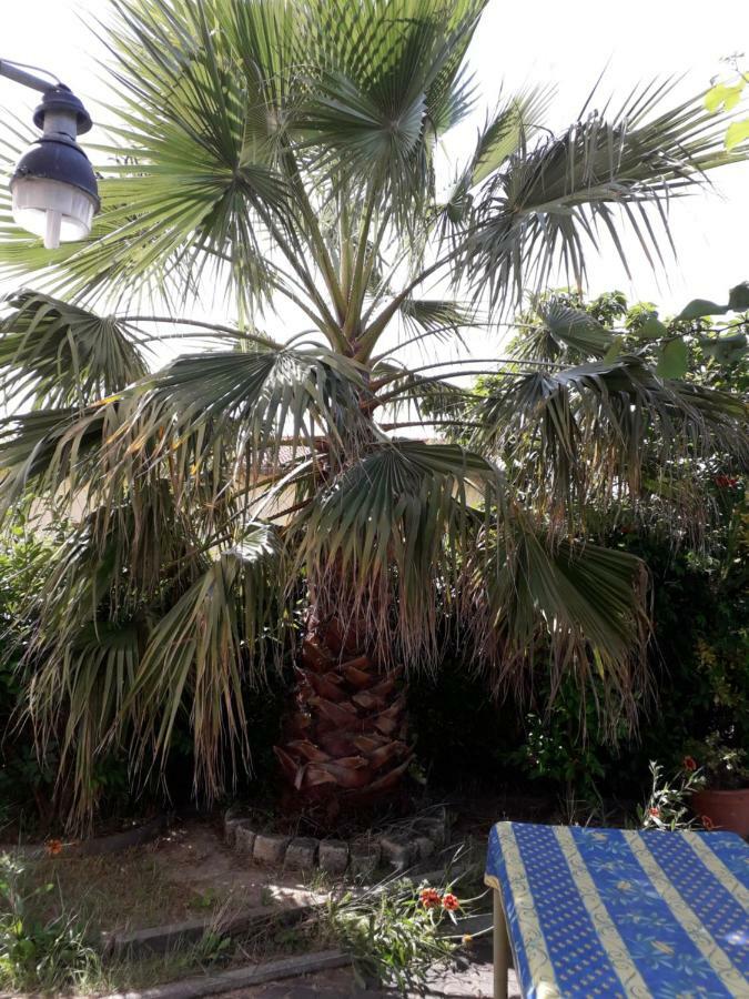 rez de chaussée studio climatisé dans villa Aigues-Mortes Extérieur photo